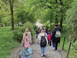 49631076111540770131869122273131767459321238n